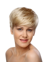 Synthetic Hair Wig in Chestnut Brown CLAIRE #10/12