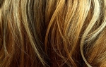Gallery_0316-18082