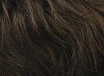 Gallery_per002598-17718