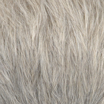 Gallery_Hair-Hero-M56