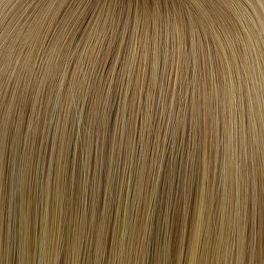 Natural Slavic Hair Wig Dark Blonde with Highlights 25cm KYA S XY #12R+14/16H