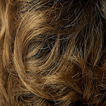 Gallery_4-15tt
