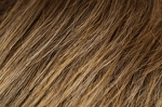 Gallery_per003717-23249