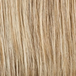 Gallery_HAI000236-36328
