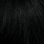 Gallery_HAI000332-36761