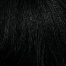 Black Synthetic Wig CERYS #1