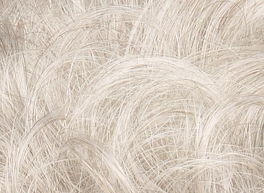 Synthetic Light Grey Wig SONYA LIFE #59