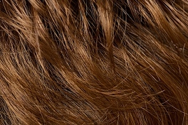 Synthetic wig brown BELLA #8/26/30TT*