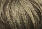 Gallery_001420-18286