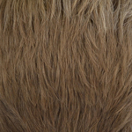 Gallery_Hair-Hero-M17