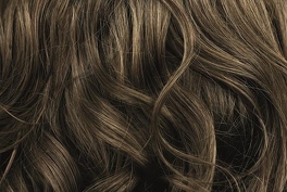 Synthetic Hair Wig in Chestnut Brown BIANCA #10/12