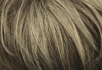 Gallery_0370-29287