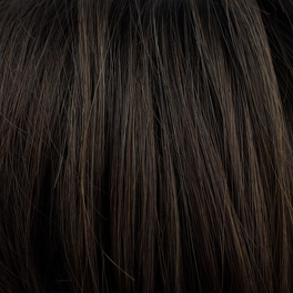 Synthetic Women's Wig Deep Dark Brown PILEA #4/6/2R