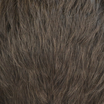 Gallery_Hair-Hero-M4