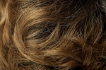 Gallery_002756-11492
